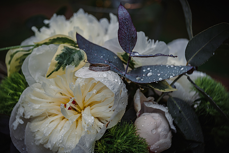 FOREST RESIDENCE
  WEDDING Bedouin